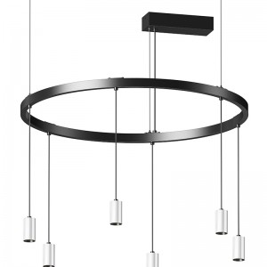 Magic Ringo Suspended Ring Spotlight