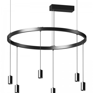 Magic Ringo Suspended Ring Spotlight